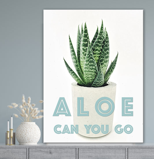 ALOE CAN YOU GO