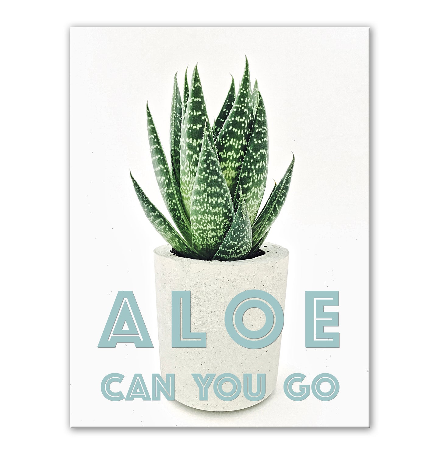 ALOE CAN YOU GO