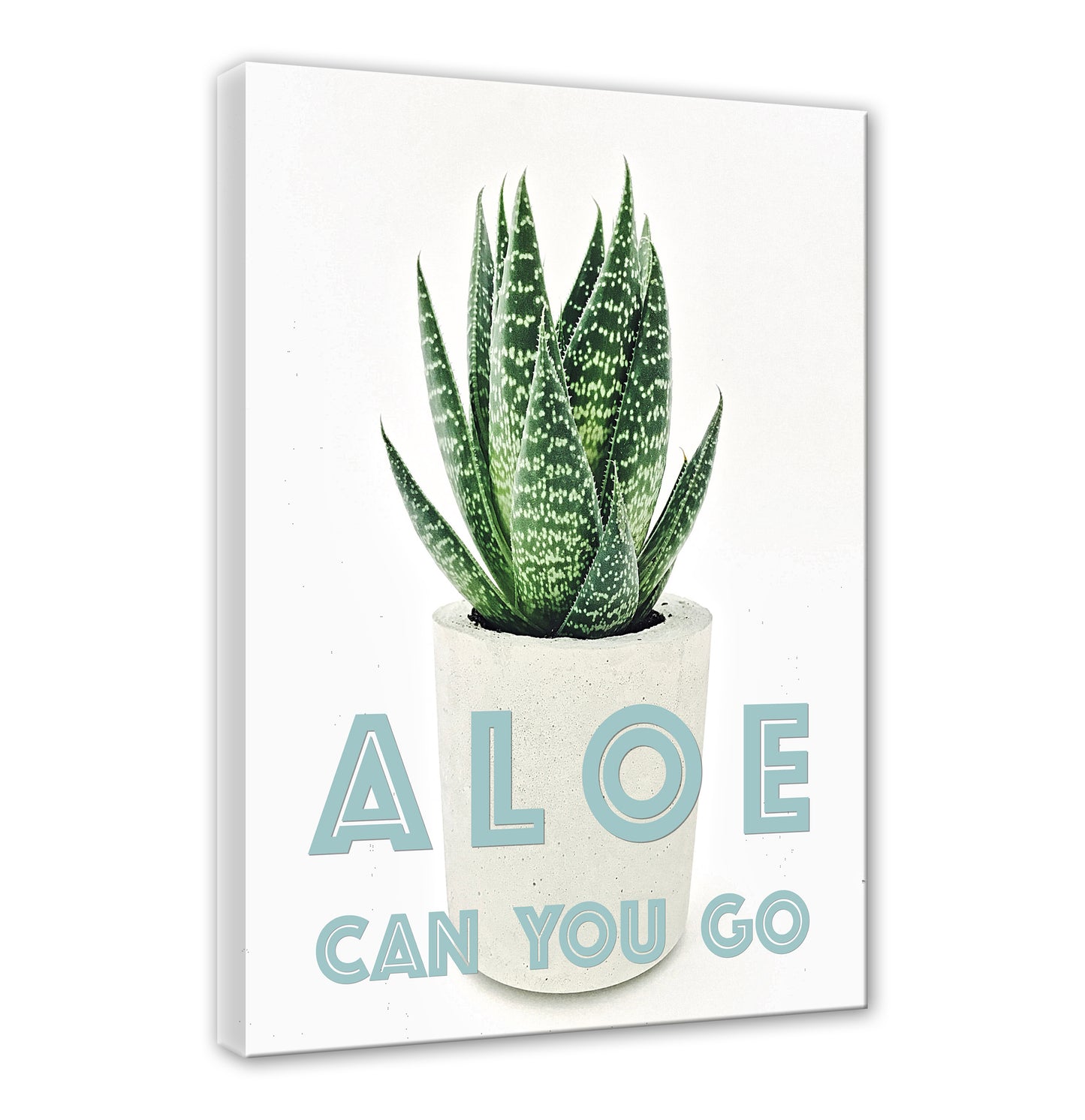 ALOE CAN YOU GO