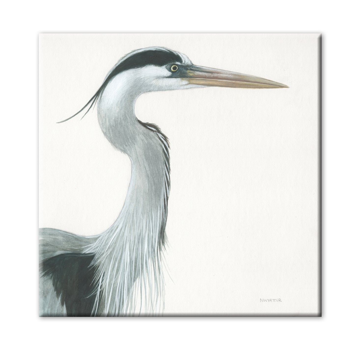 BLUE HERON STUDY