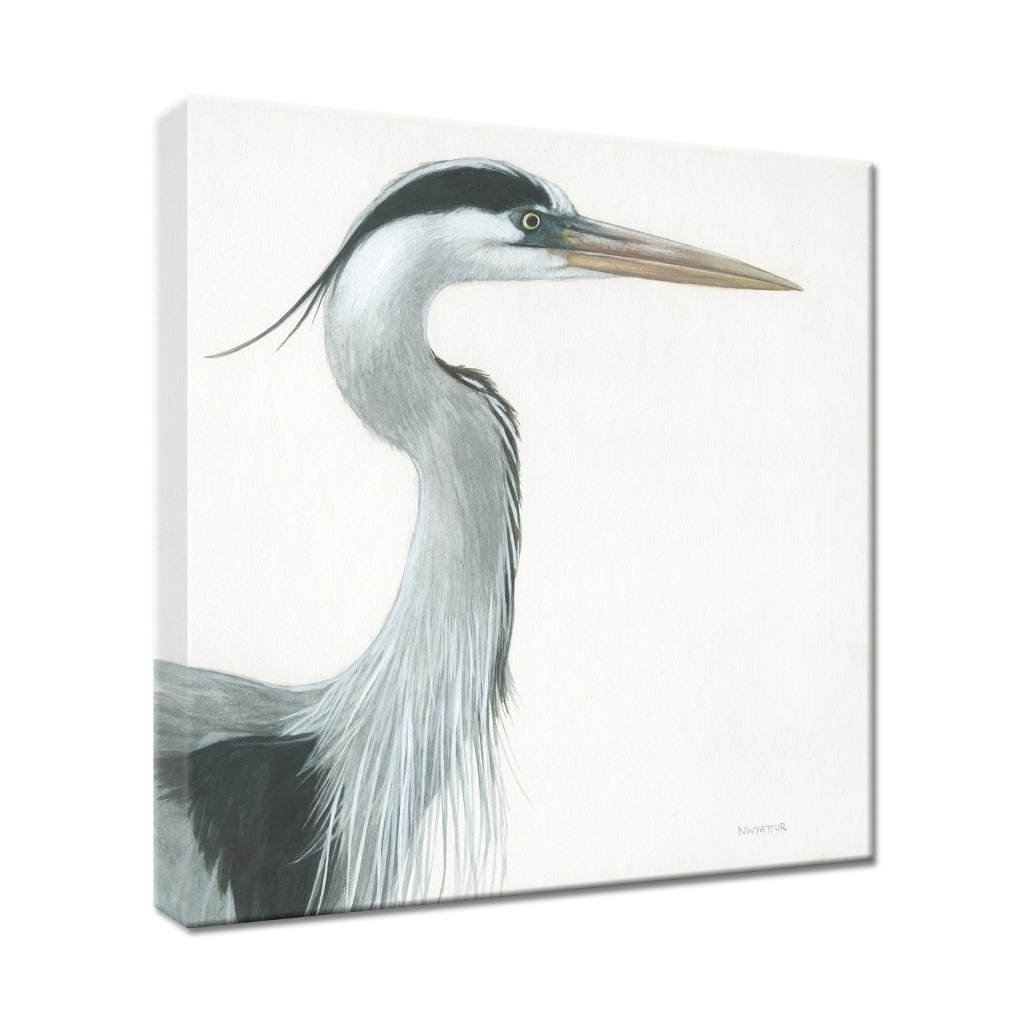 BLUE HERON STUDY