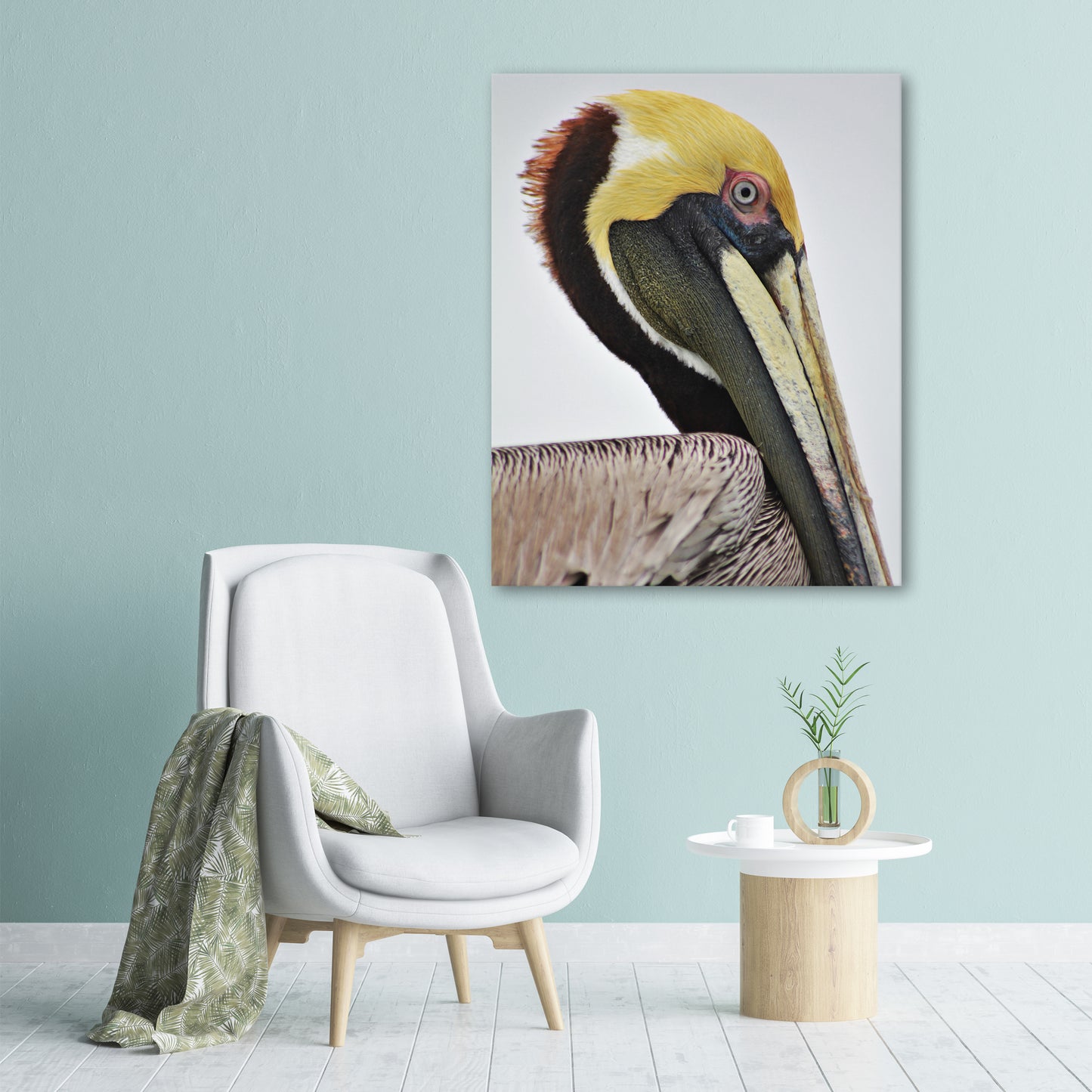 BROWN PELICAN