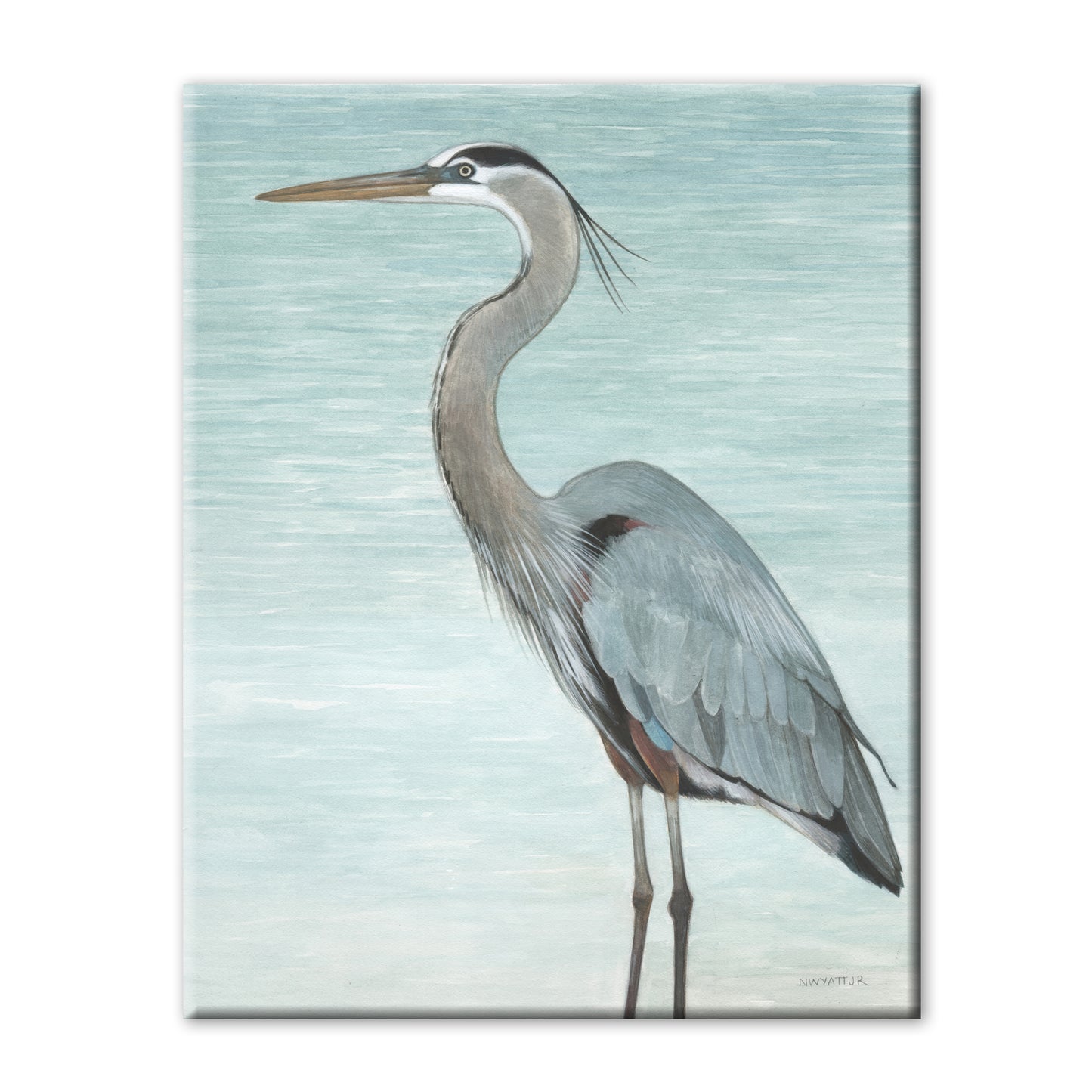 GREAT BLUE HERON