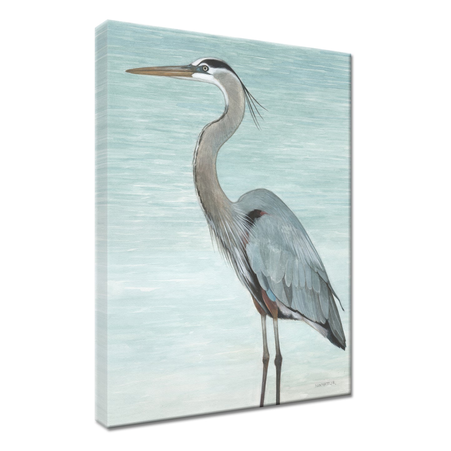 GREAT BLUE HERON