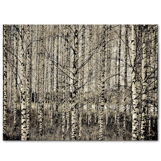 GRAPHIC BIRCH FOREST