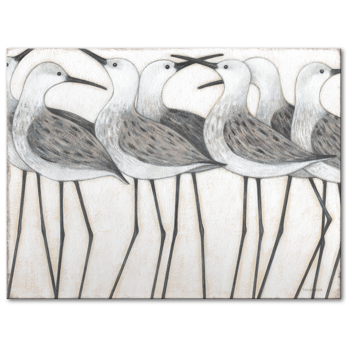 SHOREBIRD SOCIAL