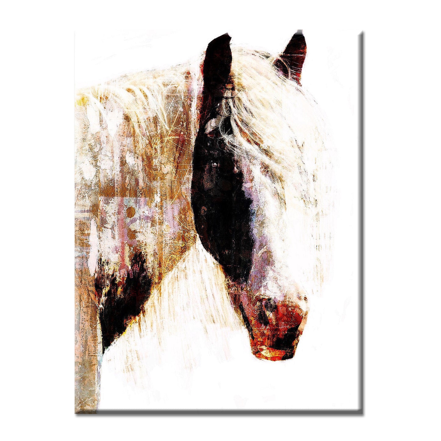 PAINTED HORSE