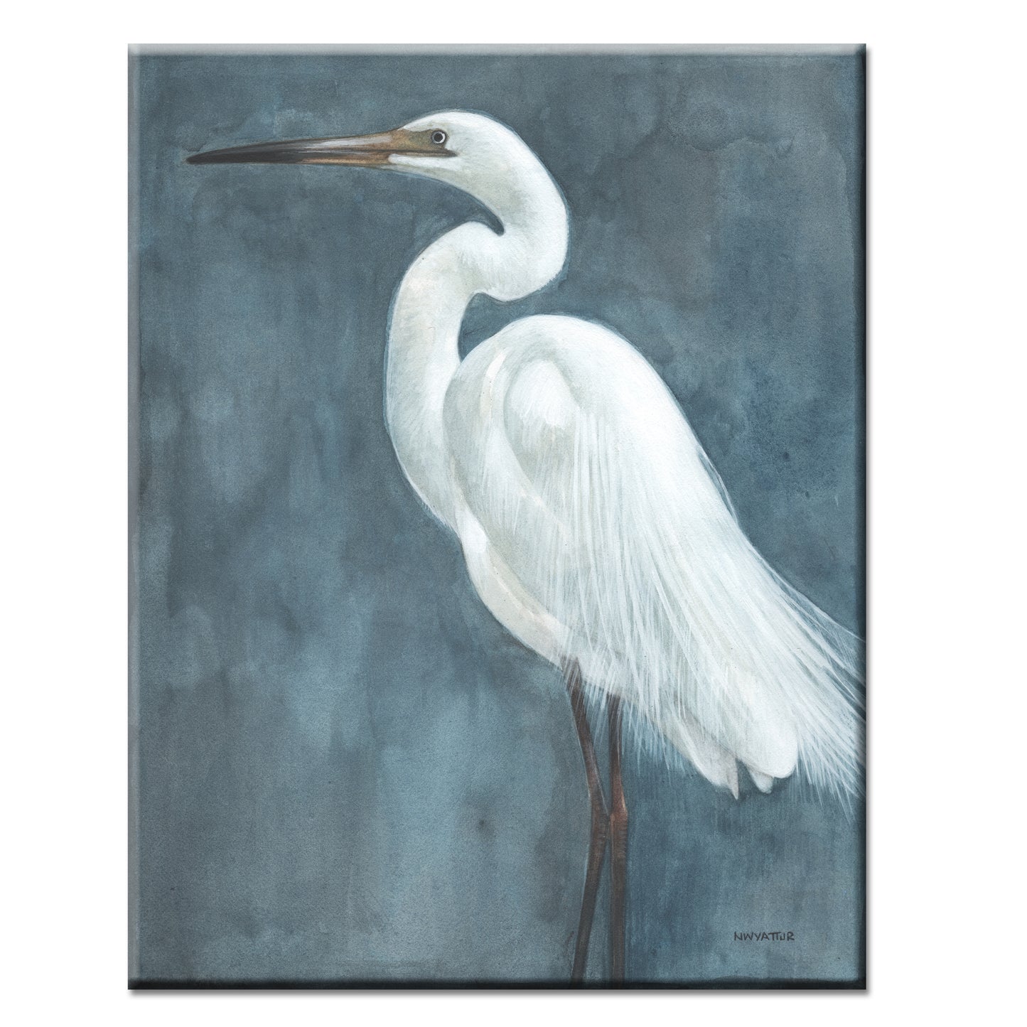 Snowy Egret