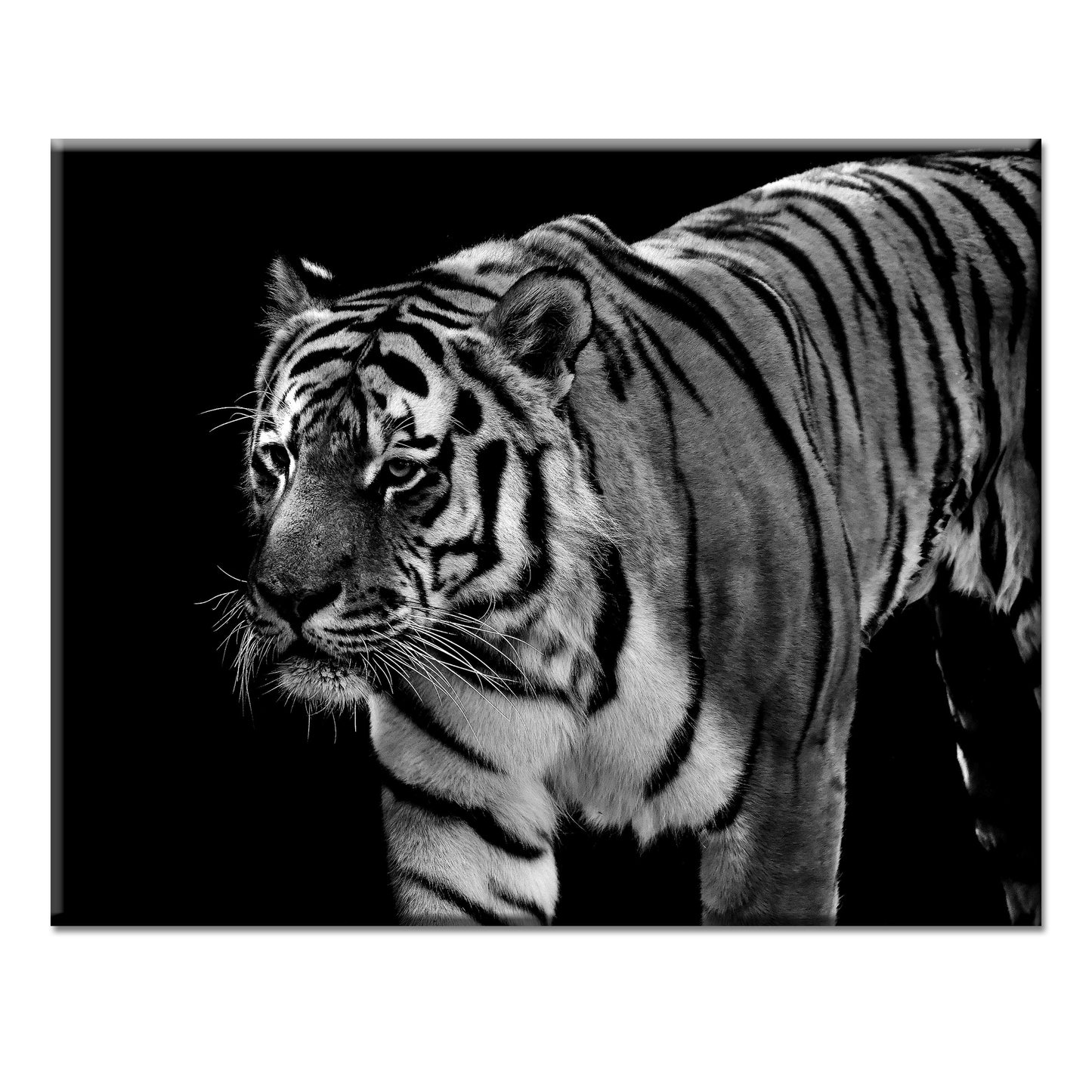 Tiger Style