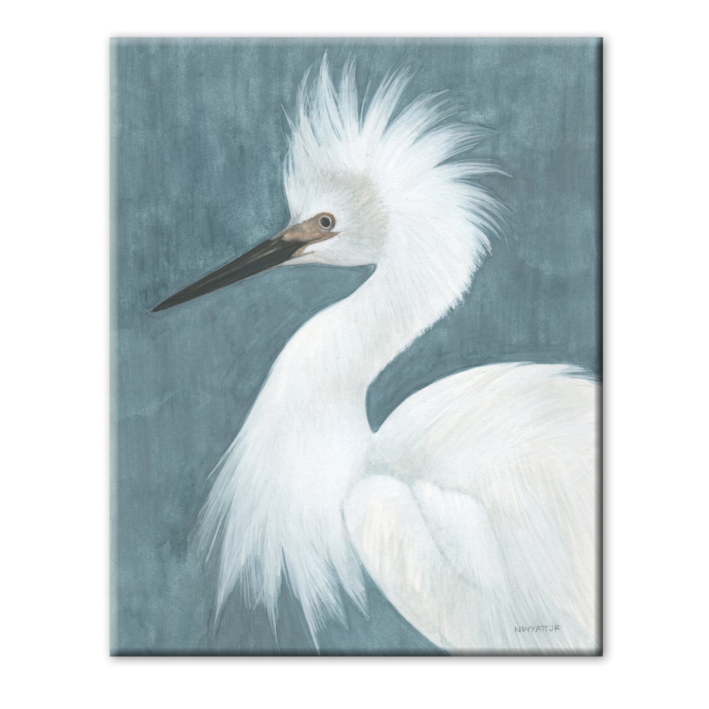 WINDY EGRET